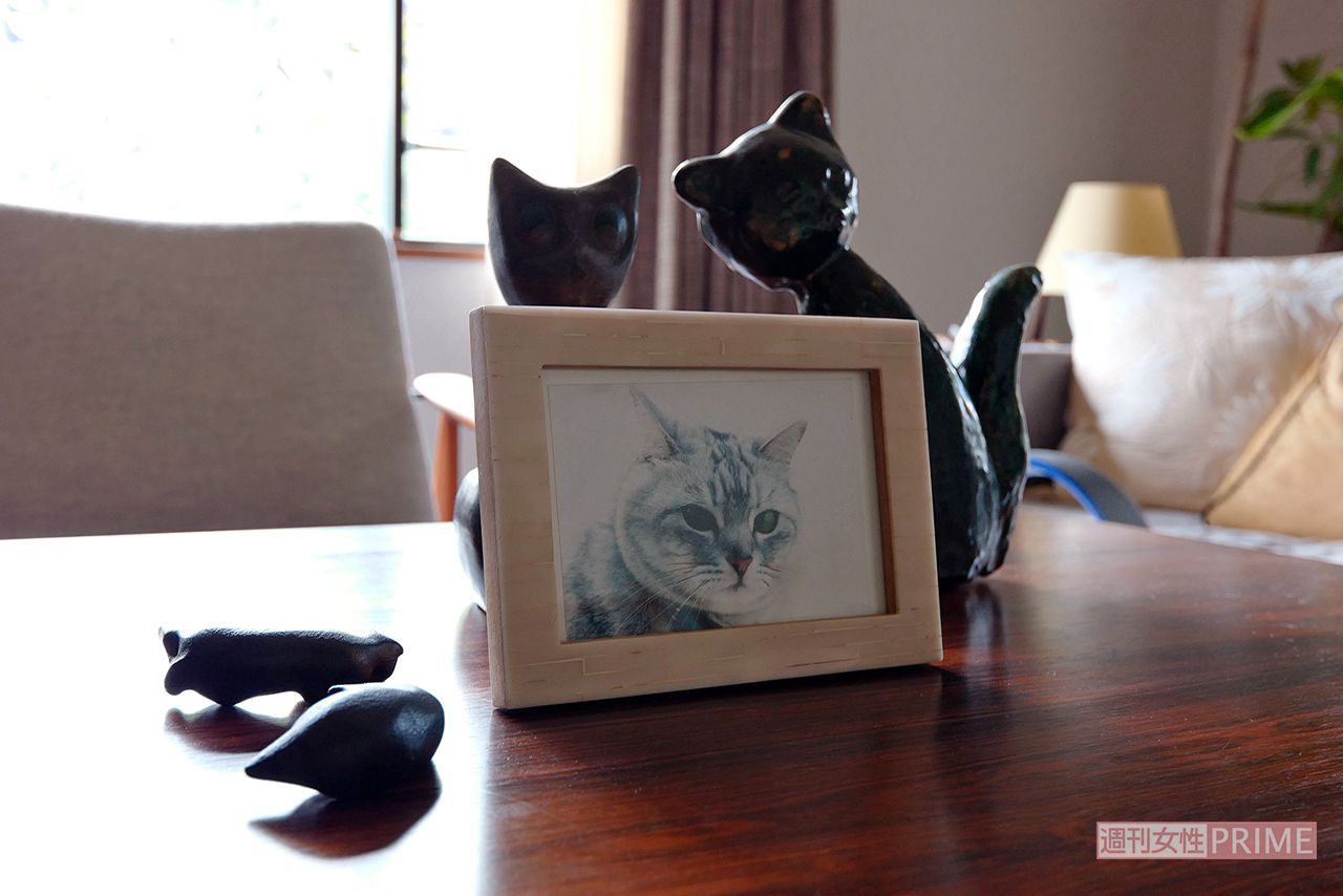 撮影／朝井まかてさん