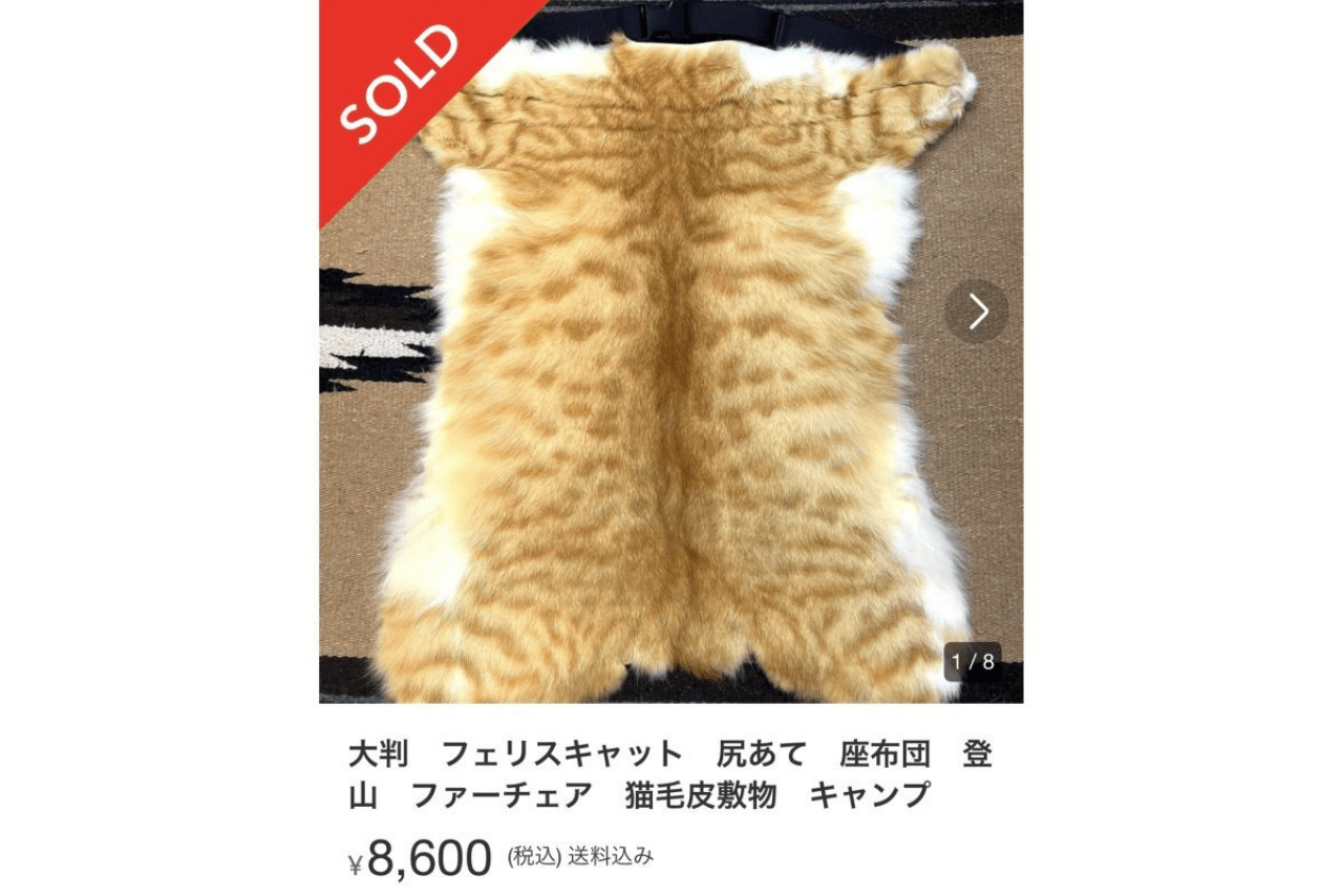 メルカリで販売されたフェリスキャット（家猫）の毛皮（画像は出品者のメルカリより）