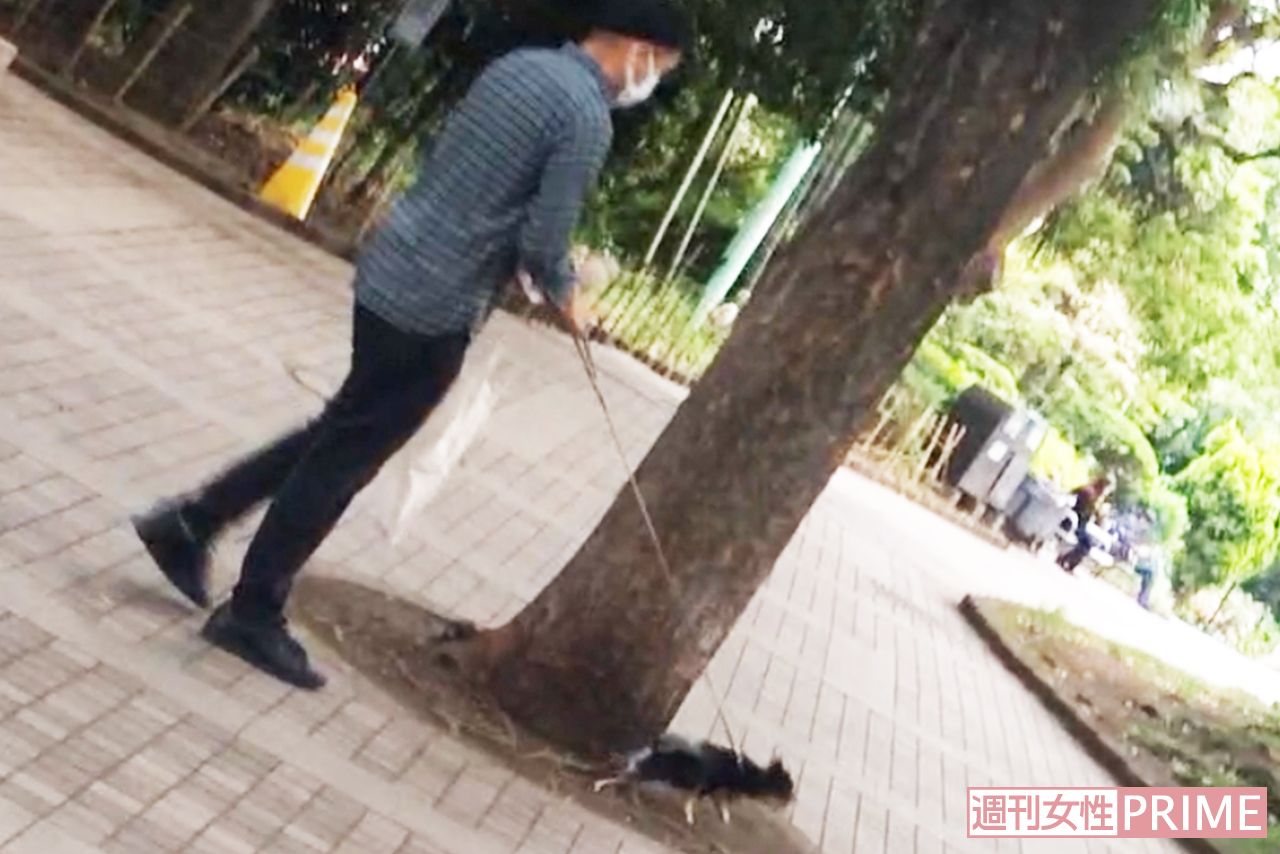 元気のいい犬に振り回される場面も