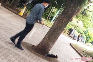 元気のいい犬に振り回される場面も