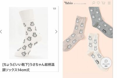 ネット上で指摘されているデザイン盗用疑惑の靴下