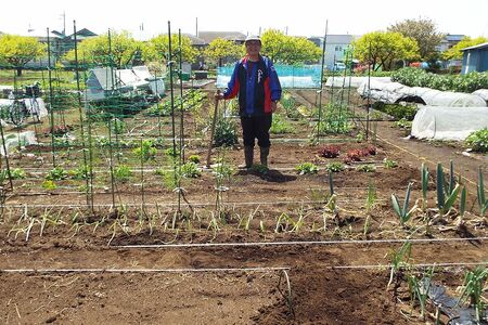 埼玉県所沢市にある約60坪の畑で農作業。自宅から近くの場所で毎朝のように通う森永卓郎さん