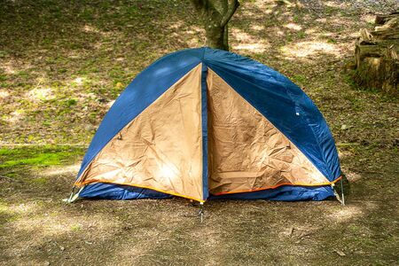 写真はイメージです