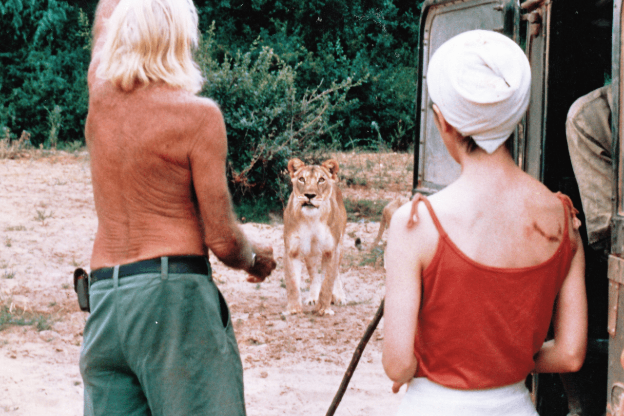 ジョージと野生動物と。この後、事件は起こる……
