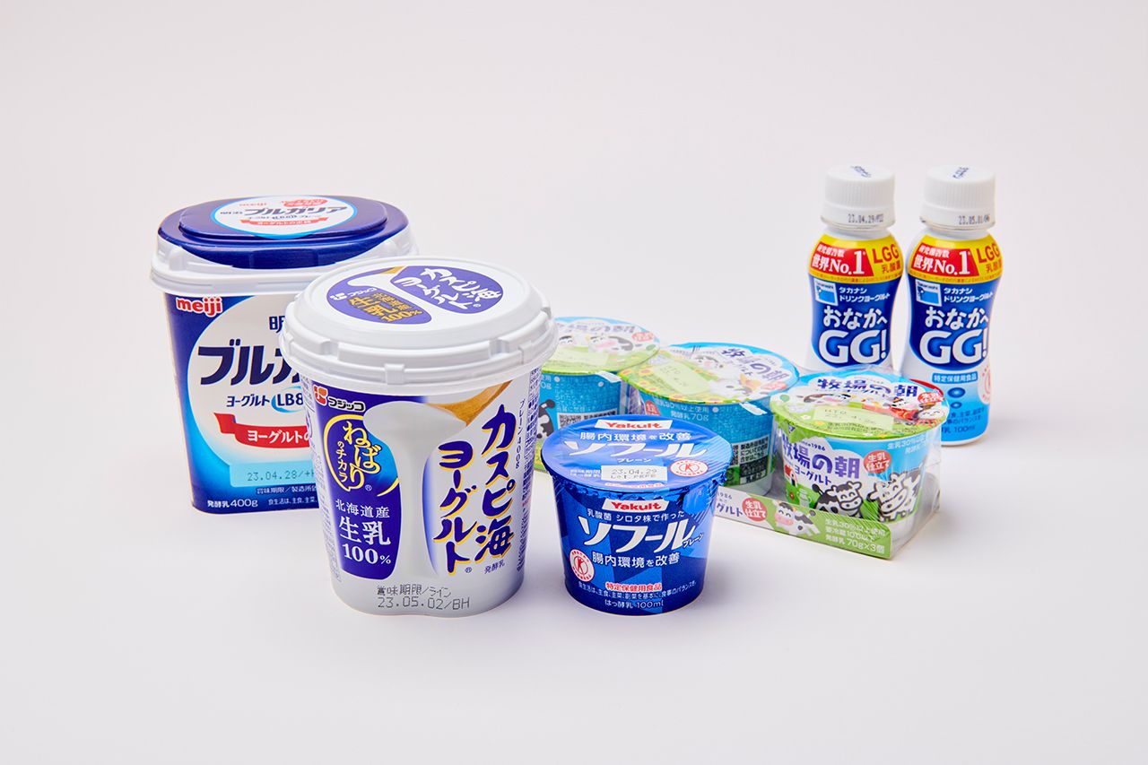 「乳酸菌入り」のヨーグルトたち