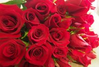 『バチェラー』でモテた女性も袋叩きに、テレビ出演で嫌われる“素人”たちの特徴って？