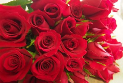 『バチェラー』でモテた女性も袋叩きに、テレビ出演で嫌われる“素人”たちの特徴って？