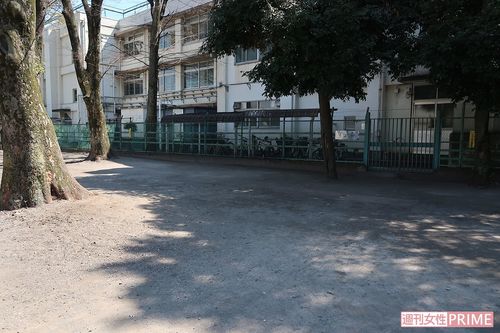 神谷公園内のハト4羽が死んでいた場所