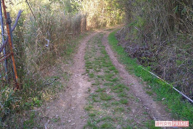 《京都小6男児遺体遺棄事件》献花台先の農道、この先約200m先に安達結希さんの遺体が遺棄されていた