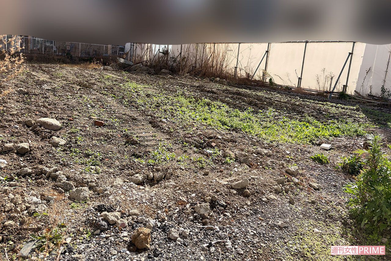 伊勢ヶ濱部屋建築予定の墨田区両国の土地。“建築費20億円のビッグプロジェクト“との報道も。国技館まで徒歩約5分の好立地