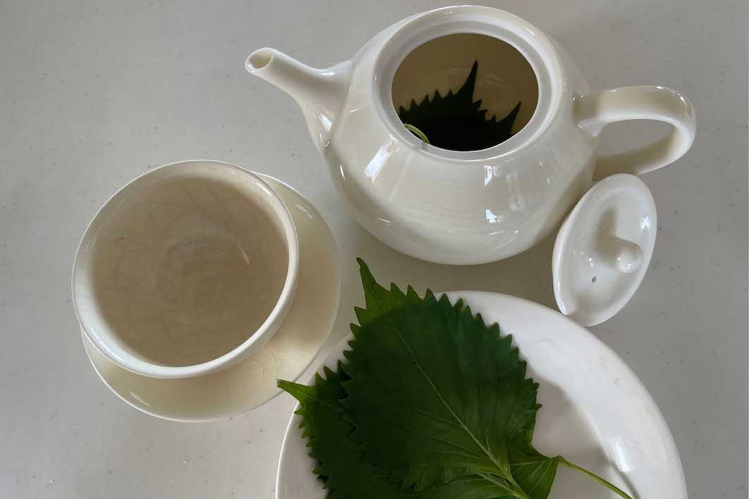 青じそ茶で安眠へ誘う