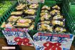 はしがないと食べられない!中国産しょうが(左)は熊本県産と同価格だが、内容量は約2倍=都内のスーパーイズミで