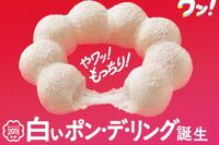利益1.5倍!『ミスタードーナツ』が再ブレイクできた背景に「若者世代とSNS」“梅毒プリン”と揶揄され悪い…