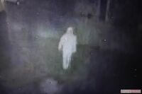 【茨城県・高齢夫妻殺傷事件】複数箇所をメッタ刺し、怨恨の原因は“危険な趣味”か