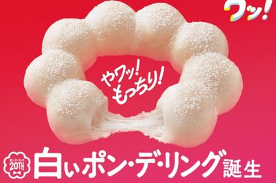 利益1.5倍!『ミスタードーナツ』が再ブレイクできた背景に「若者世代とSNS」“梅毒プリン”と揶揄され悪い…