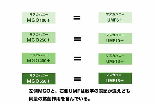 左側MGOと、右側UMFは数字の表記が違えども同量の抗菌作用を含んでいる。（資料提供：日本はちみつマイスター協会）