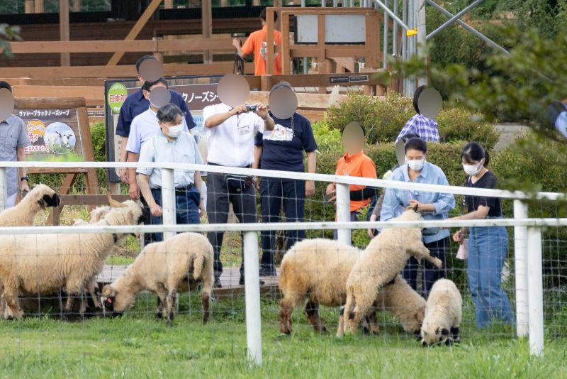 4年ぶりに那須どうぶつ王国を訪れたご一家。「ヒツジファーム」では餌やりをしながらヒツジとふれあう一幕も　写真／JMPA、『週刊女性』写真班