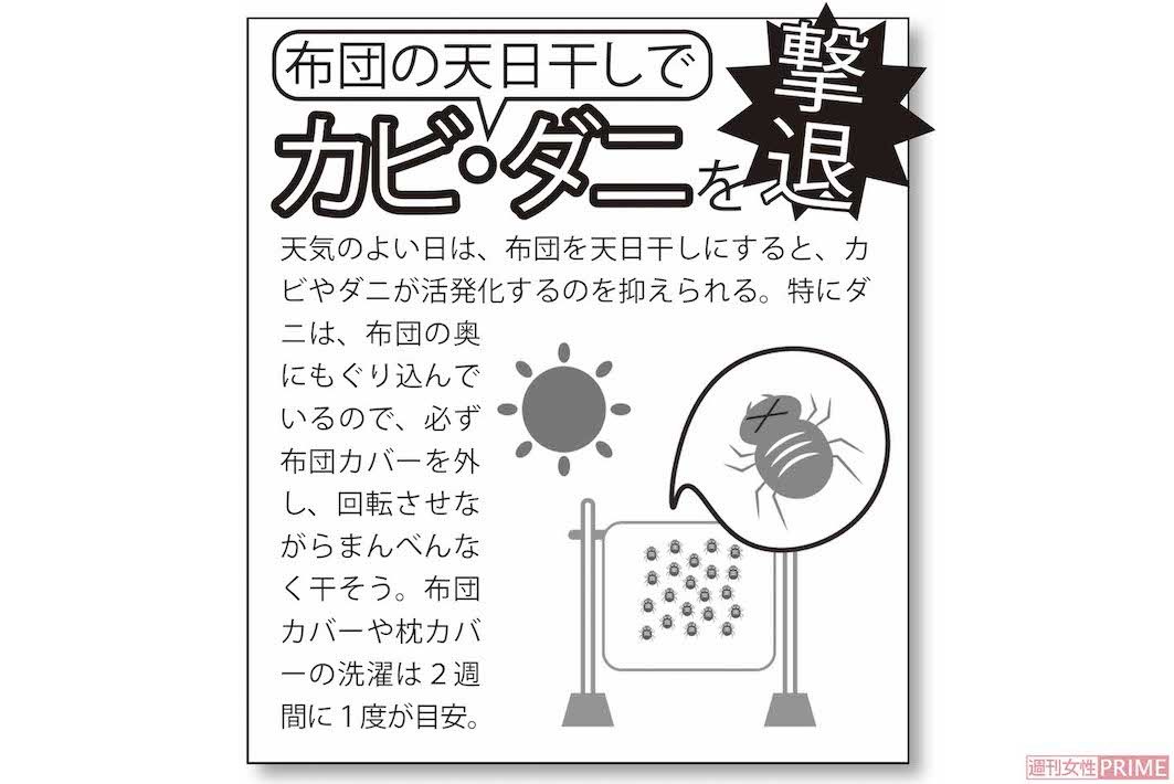 布団の天日干しでカビ・ダニを撃退