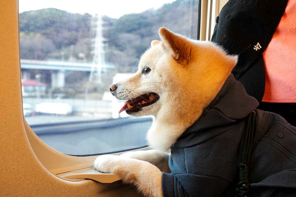 提供／JR東海
