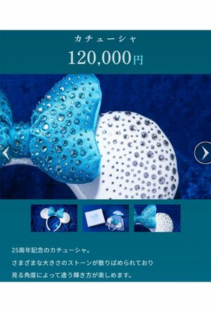 12万円のカチューシャには数え切れないほどのストーンが埋め込まれている（公式サイトより）