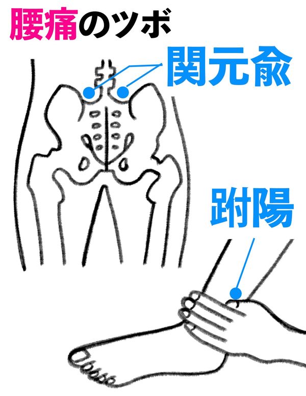 腰痛のツボ2選　イラスト／アサミナオ