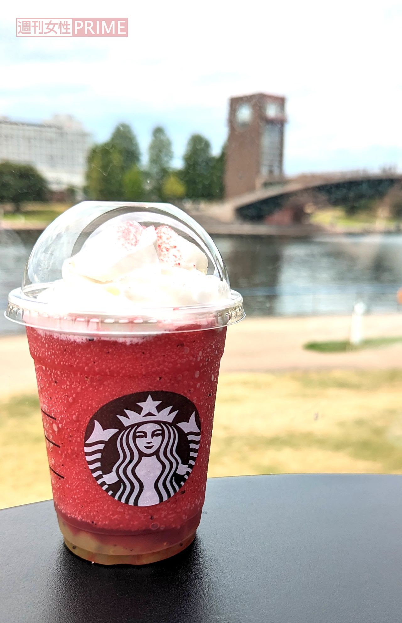 スターバックスコーヒー富山環水公園店からの眺め　撮影／編集部