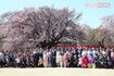 2019年4月13日「桜を見る会」、安倍晋三首相“最後の会”に