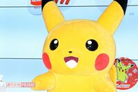 東京ディズニーシー25周年グッズ90種類に懸念、ポケパーク1200円バッジが5万円に、りくりゅうに6800万円ボ…