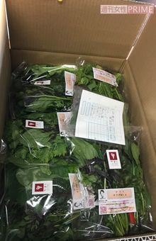 伊勢丹新宿店のほか、都内の有名レストランへ直送されていくイタリア野菜