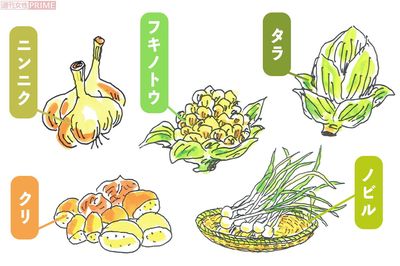 卑弥呼が食べていた野菜たち　イラスト：永山久夫
