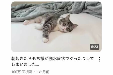 脱水状態でぐったりする「もちまる」（YouTubeチャンネル『もちまる日記』より）