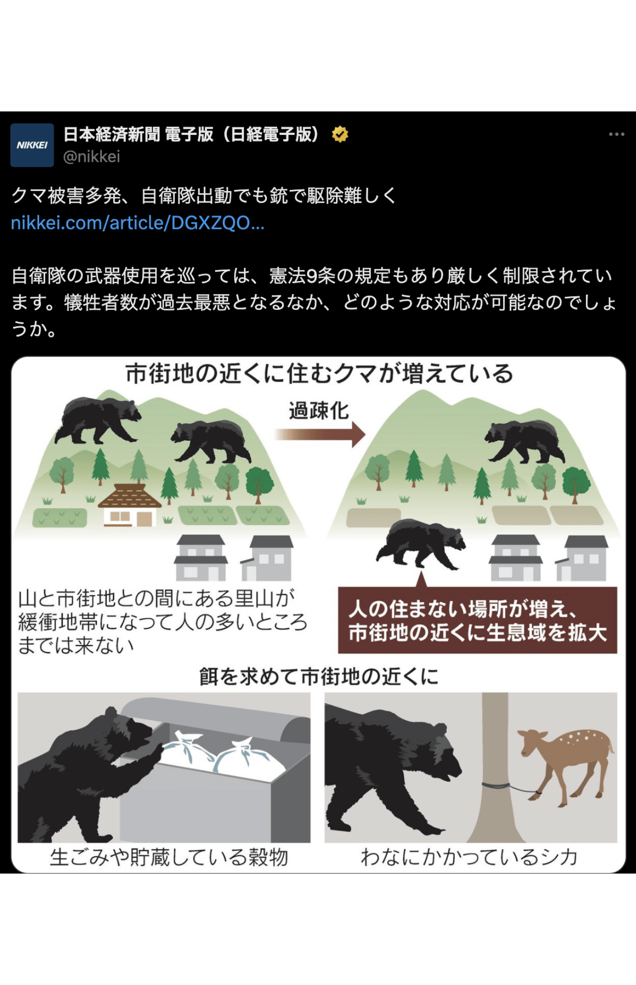 リード文に指摘が相次いだ日本経済新聞（電子版）による投稿