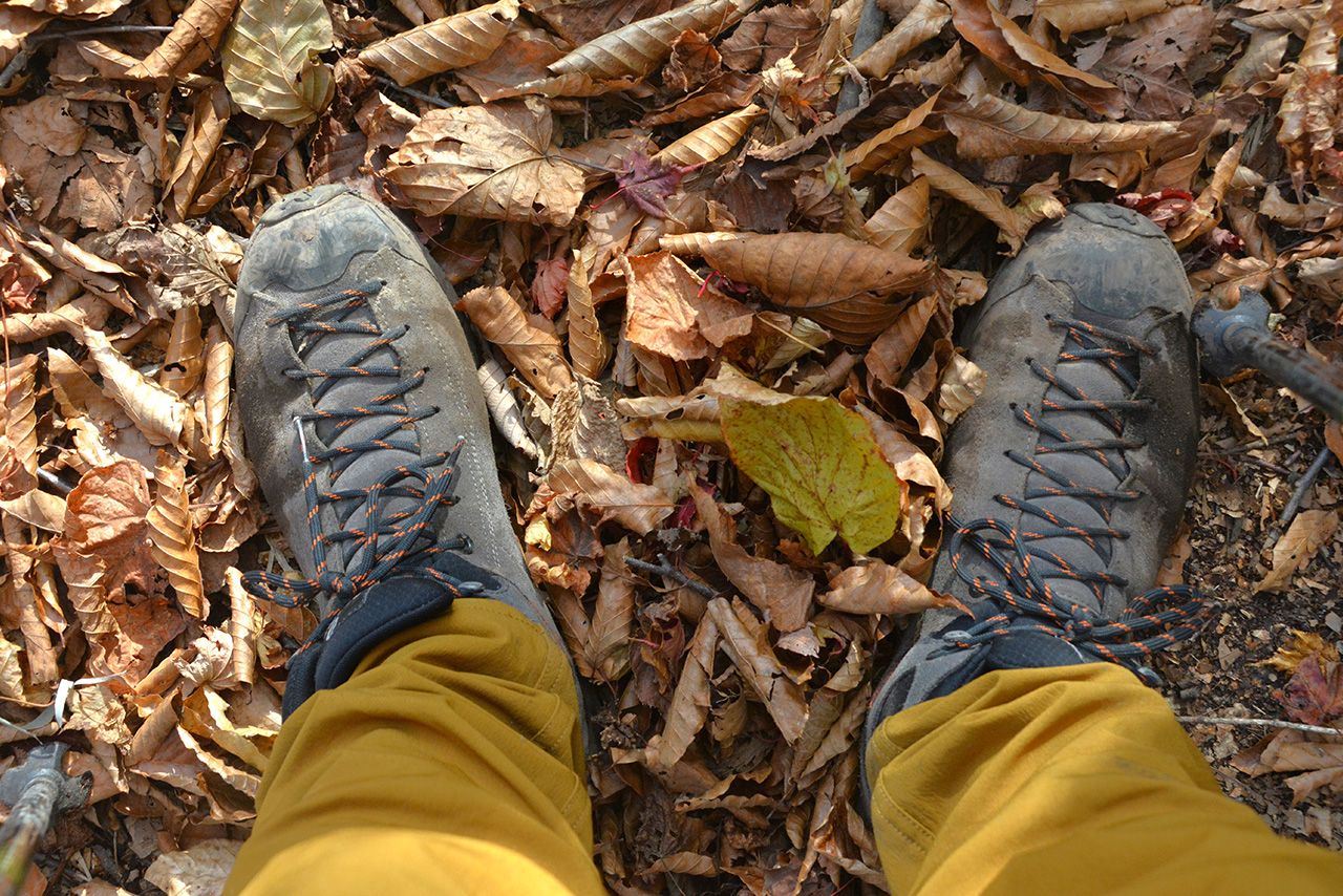 写真はイメージです