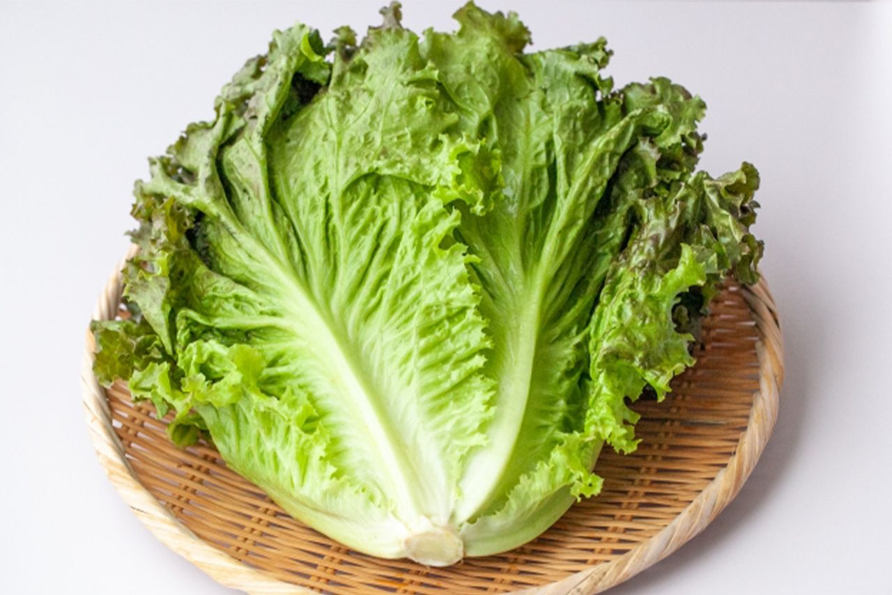 ※写真はイメージです