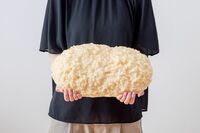 【体脂肪が落ちる“ずるい食べ方”】キツい制限や運動なしのダイエット法、54歳女性が半年で服サイズL→Sに