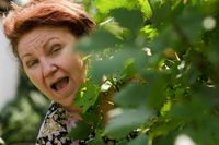 「親は成人した子どもの仕事に干渉すべき？」井内由佳が回答《神さまの幸福論》