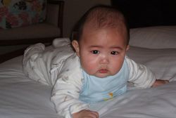 生後6か月の大維志くん