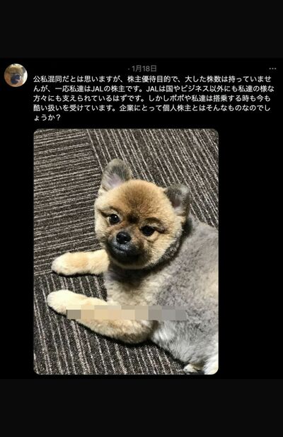 愛犬を亡くした飼い主の投稿（Twitterより）