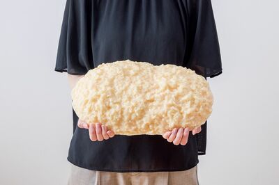 【体脂肪が落ちる“ずるい食べ方”】キツい制限や運動なしのダイエット法、54歳女性が半年で服サイズL→Sに