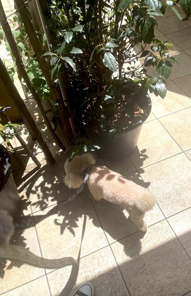 撮影／加藤綾菜