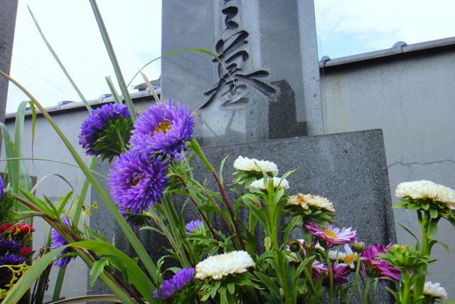 一定年数、管理、供養してもらえる「永代供養墓」のある寺や霊園も増えている