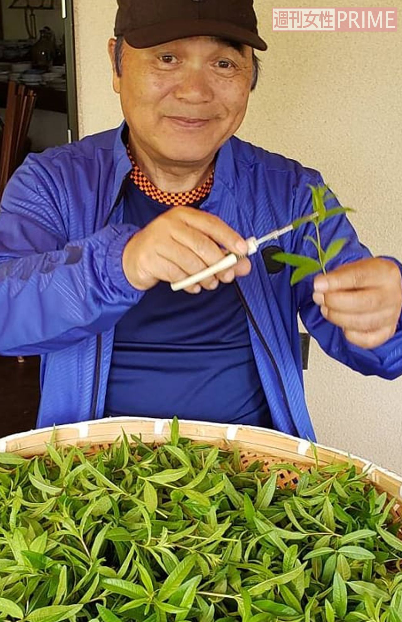 きみまろが野菜とともに育てていたハーブも大豊作♪　提供／綾小路きみまろオフィス