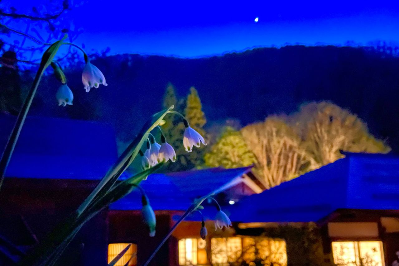 「女将兼湯守@西屋旅館」公式Xより