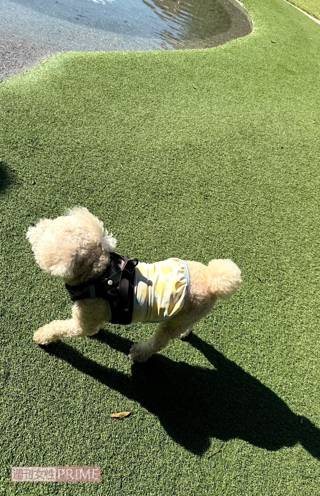 撮影／加藤綾菜