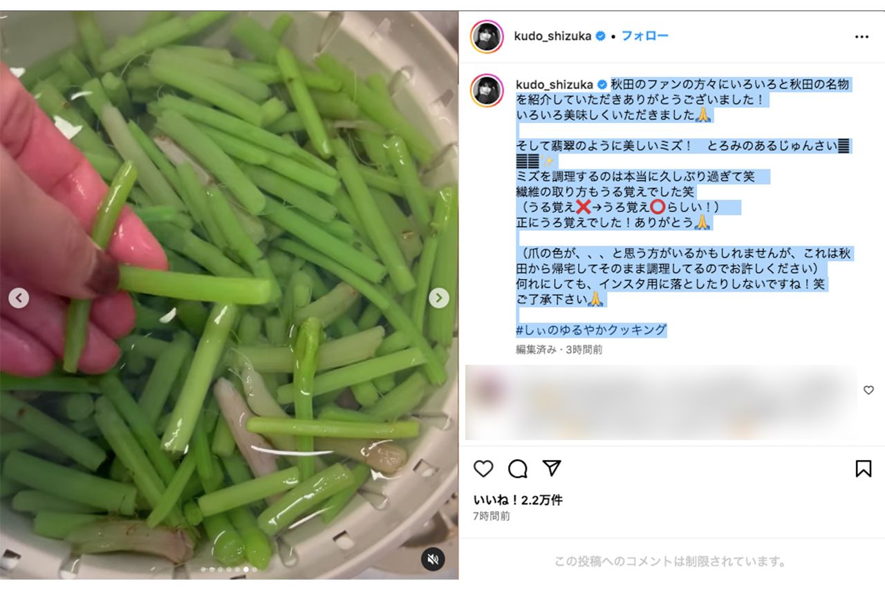 秋田名物で今が旬の山菜であるミズや、ジュンサイを用いた料理写真をアップした工藤静香（本人インスタグラムより）