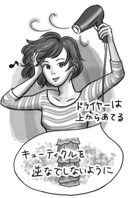 イラスト/もりたりえ