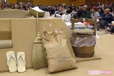 大相撲冬巡業、溜まり席最前列見聞録！力士の「個性」と「鋼のカラダ」