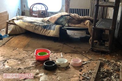 《群馬・猫ネグレクト事件》空き家で50匹が餓死、共食いも…飼育者の鬼畜の所業