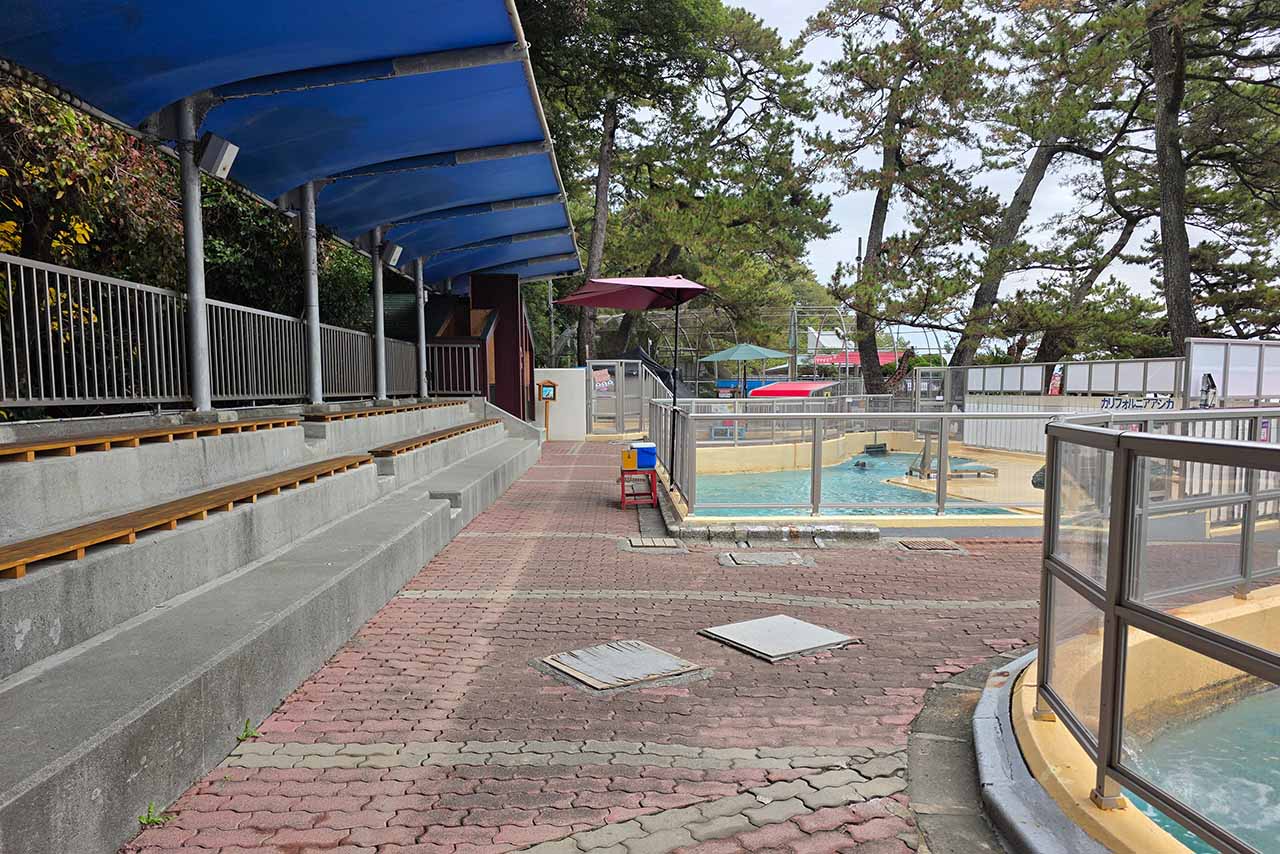 クリスマスイヴなのに貸切状態の館内　写真提供／桂浜水族館