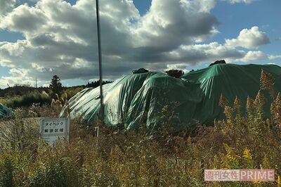 汚染土が入ったフレコンバッグが並ぶ福島県・大熊町の中間貯蔵施設。国は県外での最終処分を打ち出している